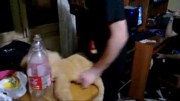 fucks kitchen in the wwwyoung mature boy Turkish bear feed me his cum